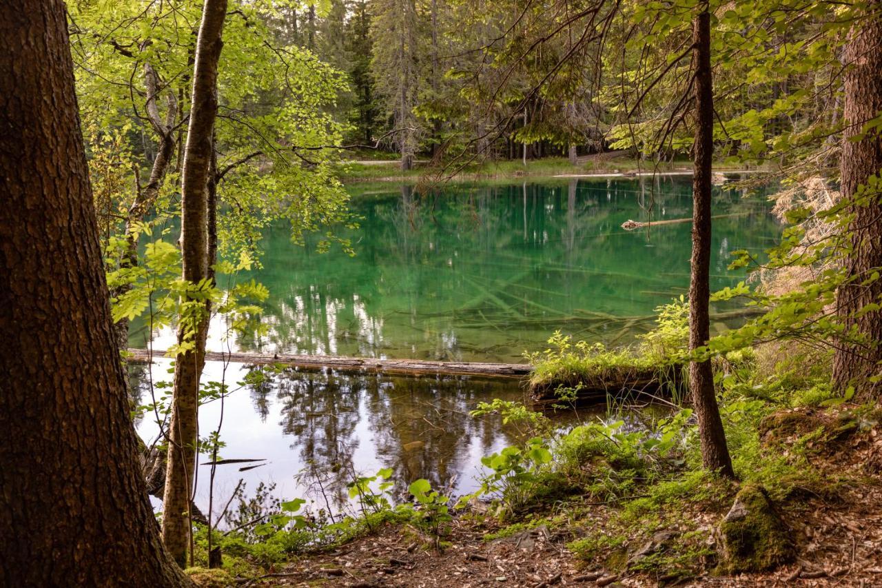 Almhütten Sonnblick & Almfried Sonnenalpe Nassfeld Kültér fotó